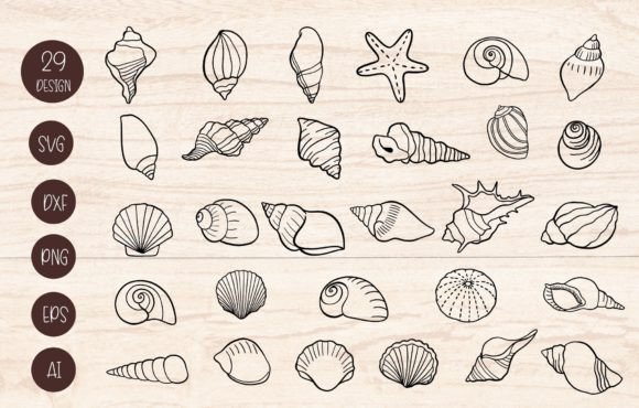 Download Seashells Bundle SVG of Cut File - Cut file Collection