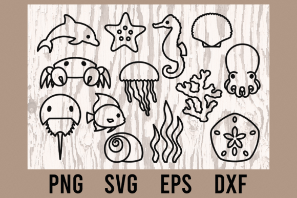 Download Ocean Creature Cut Files | PNG, SVG - Cut file Collection