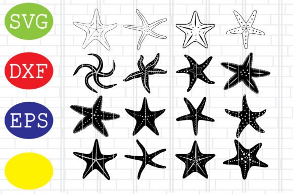 Download Starfish Cricut, Starfish Cut Files - Cut file Collection